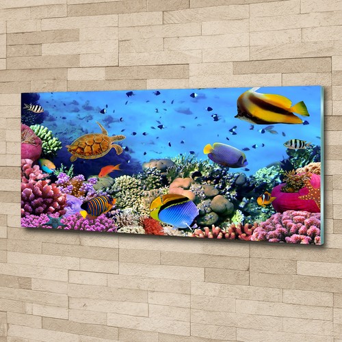 Glas bild wandbilder druck auf - wandbilder,