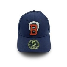 Eisbären Berlin - Curved Cap