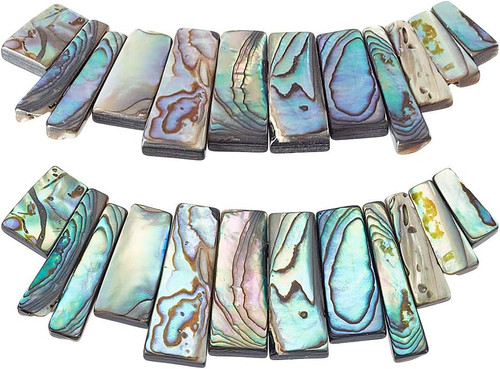 Stück natürliche abalone - 12,