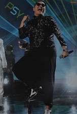 PSY - A3 Poster (ca. 42 x 28