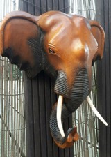 30cm Wand Bild Deko Akazie