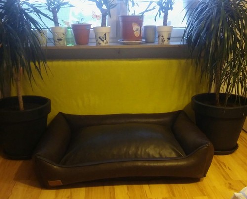 Bequemes hundesofa hundebett - hundesofa,