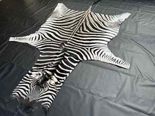 Burchell Steppenzebra Zebrafell aus Südafrika - 3,10 m L x 2,05 m B *NEU*