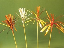 10 Deko Palmwedel Spieße