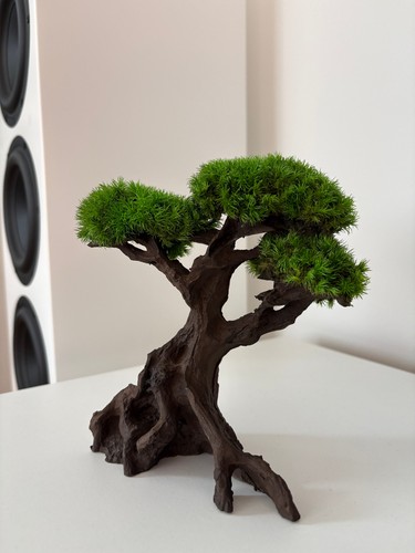 Moospro mini bonsai aus - moospro, mini-bonsai