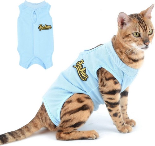 Hundebody hund katze - hundebody,