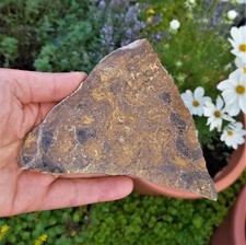 0,21Kg Stromatolith Rohstein