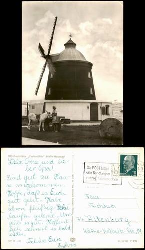 Halle ddr esel frau - halle,