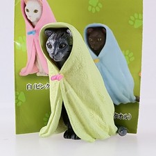 Schildpatt Katze (grünes