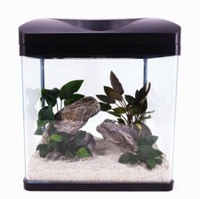 Nano aquarium laguna - aquarium, in