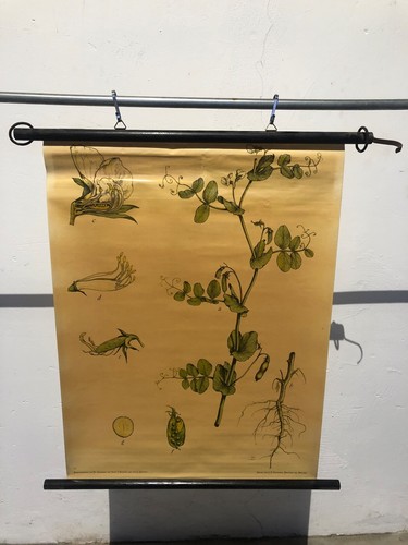Schulkarte lehrtafel lehrkarte - schulkarte,