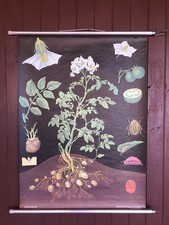 Schulwandkarte Rollkarte „