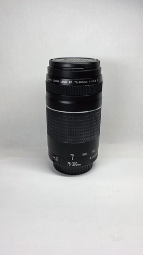 Canon 300mm 5 - ef, iii