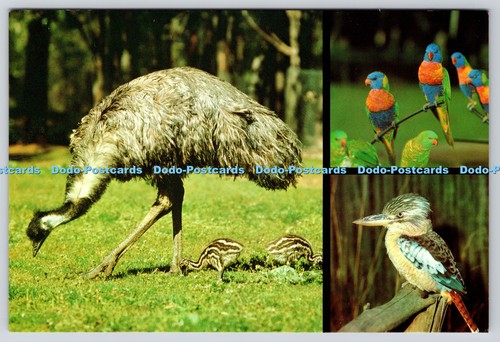 L364722 australische vögel - l364722,