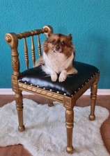 HOCKER SCHEMEL MIT LEHNE HUNDEHOCKER KINDERSTUHL HOLZ GOLDTON POLSTER SCHWARZ 