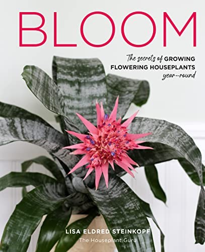 Lisa eldred steinkop bloom - lisa,