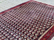 Toller Sinneh - Teppich /