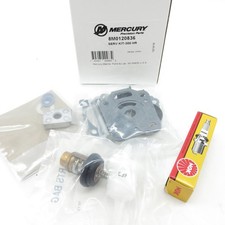 Orig. Mercury Wartungskit