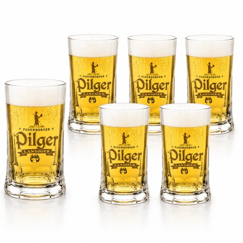 Paderborner pilger bier 3 - 6x, 0,3