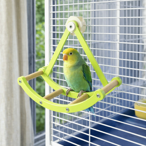 Hängematte papagei schaukel - hängematte,