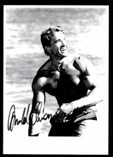 Arnold Schwarzenegger