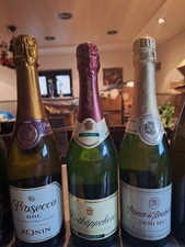 13 X Flaschen Sekt , Wein  