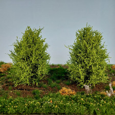 Büsche Frühling ca. 8-10 cm