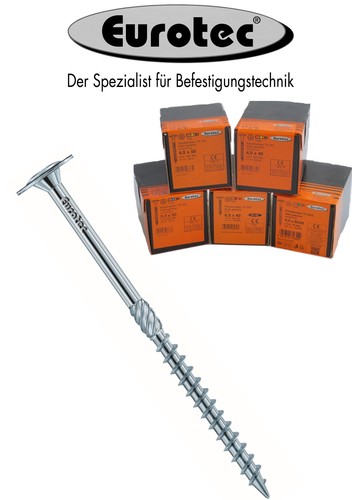 Tellerkopfschrauben