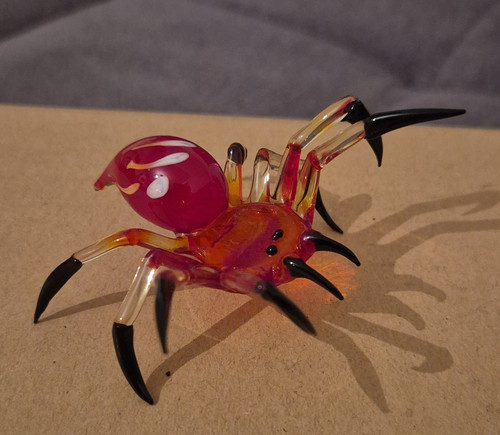 Lauscha tarantel vogelspinne - lauscha,