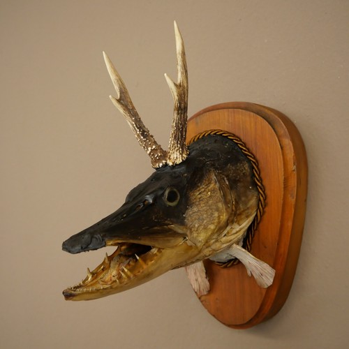 Fischwolpi wolpertinger mit - fischwolpi,
