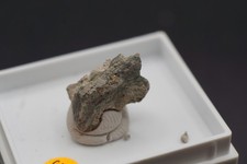 Wulfenit xx ca. 1,7 cm | FO: Shinkolobwe, Katanga | seltene Systematik #R491