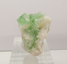 ✨ MEGA GLANZ! Apophyllit