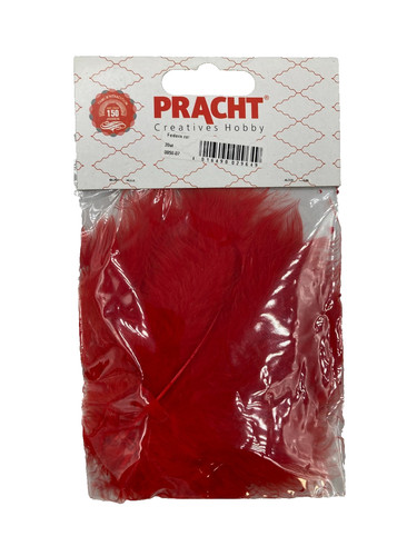Pracht creatives hobby federn - pracht,