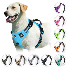 Hunde Geschirr, Anti-Zieh