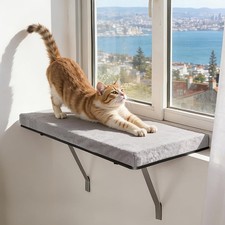 Katzenhängematte Katzen