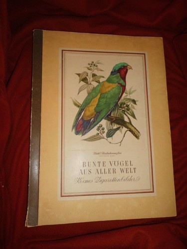 Bunte vögel aus aller - vögel,