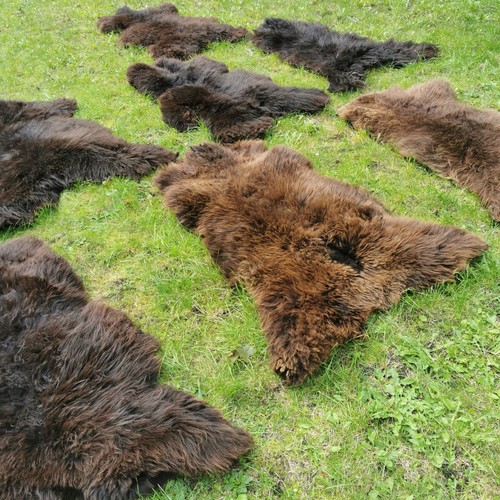 Xxl große schaffell - s-xxl, bio