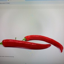 Pepperoni lang rot - rot, sehr