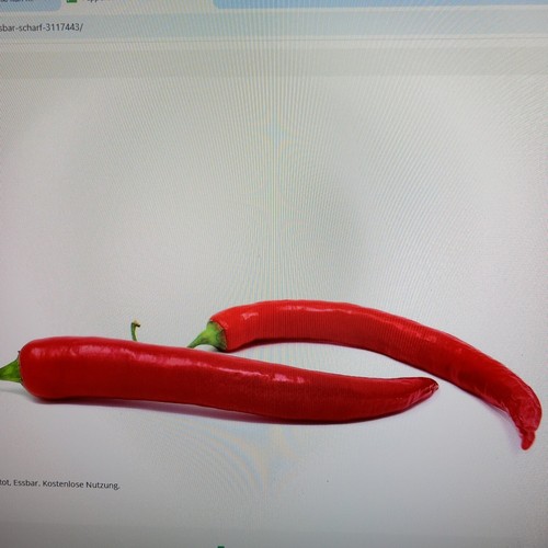 Pepperoni lang rot - sehr, scharf