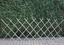 Bambus Scherengitter