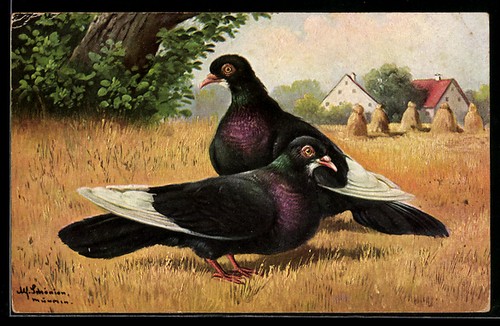 Künstler alfred schönian - künstler-ak,