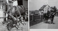 2 Foto 1930 PFERDE-GESPANN uralt ochsengespann kutsche landwirtschaft ak