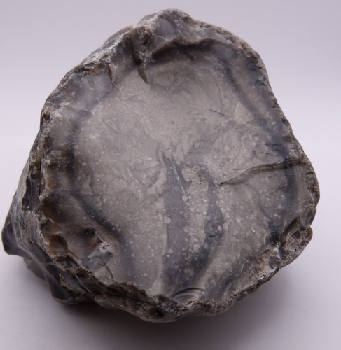 Ostsee flintstein - ⭐⭐⭐ostsee,