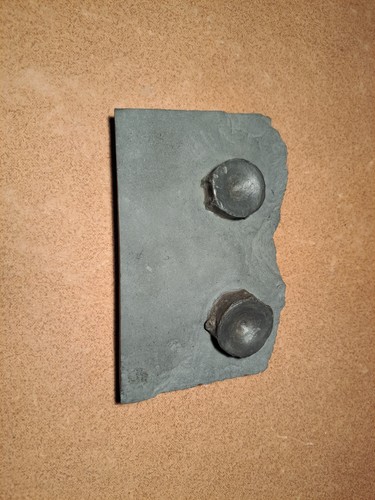 Ichthyosaurier ø - 2,