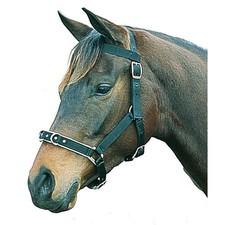 Kincade Cavesson/Kappzaum mit