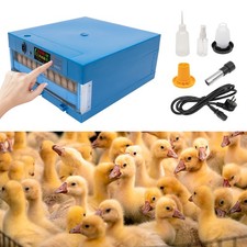 Digital Brutmaschine Inkubator