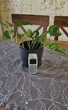 NOKIA 3510I mit Ladegerät Sammler Vintage Handy