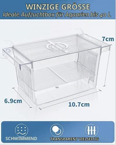 Zuchtbox acryl 7x6 - acryl, 10,7x6,9x7cm
