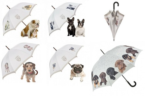 Regen schirm automatik - regen-schirm, hund