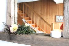 Spiegel  Schwemmholz Treibholz